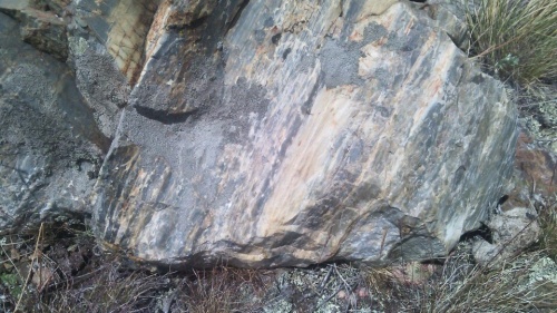 Гигантские зелёные валуны для ландшафтного дизайна весом более 5 тонн купить в Красноярском крае