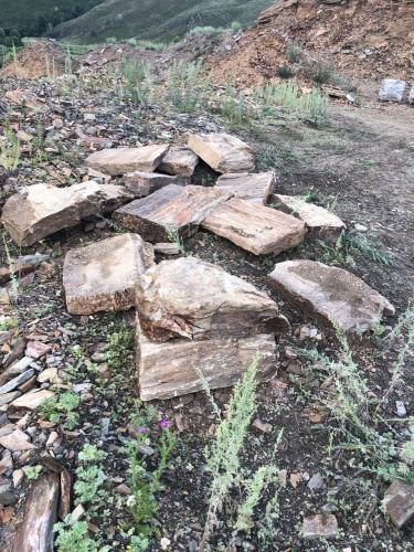 Плитняк кора дерева 50-100мм для пошаговых дорожек купить в Красноярском крае